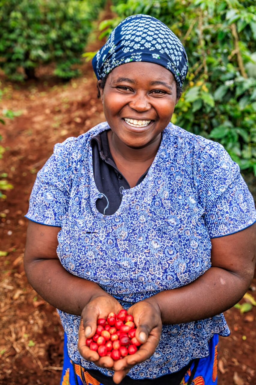 Young African woman showing freshly picked coffee cherries, East Africa.jpg
